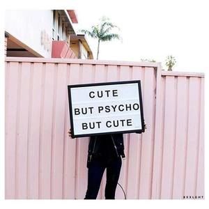 Meet your Posher, Izzy